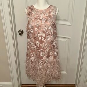 Alex Marie Sawyer Feather Dress . Pale Pink . Size 8